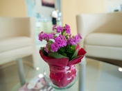 virág a váróteremben